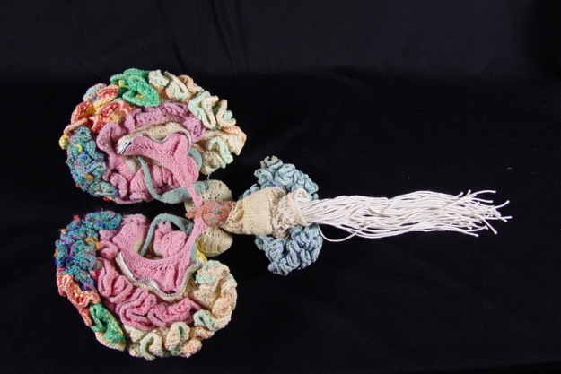 Karen Norberg, Crocheted Brain 